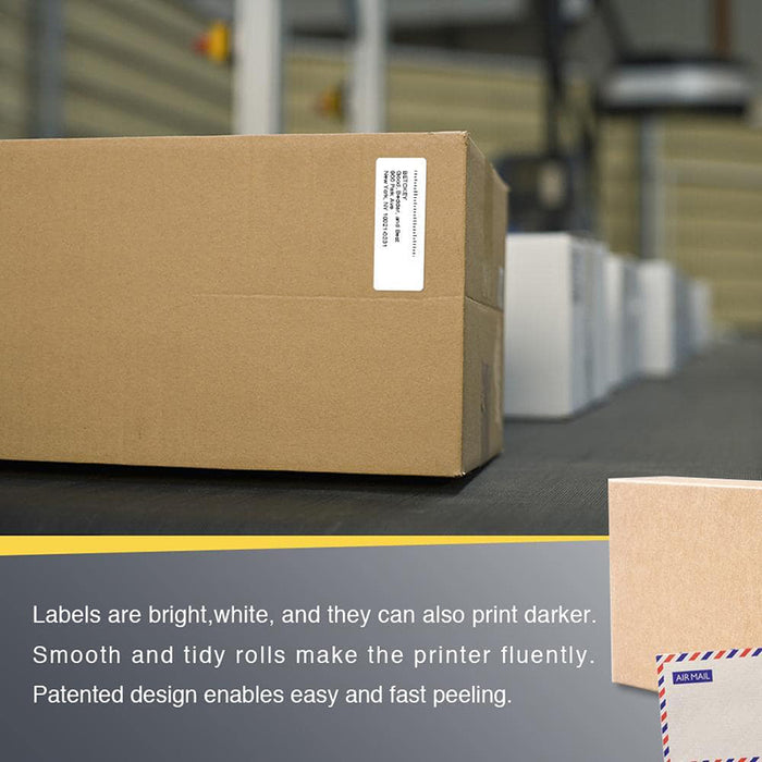 Zebra 2.625" x 1" File Folder & Address Labels Direct Thermal Labels