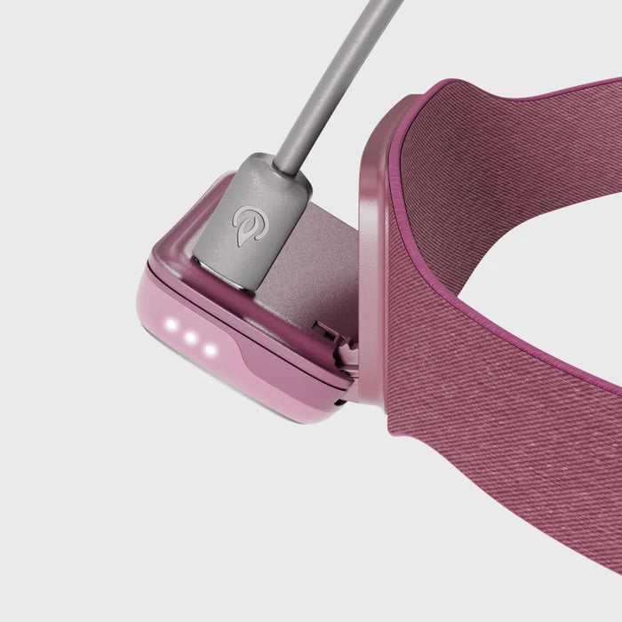 Biolite Range 300 USB-C Fast Charging Headlamp - Wild Fig