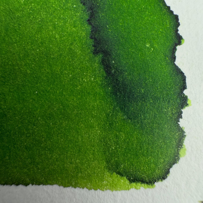 Diamine Kelly Green - 80ml Bottled Ink