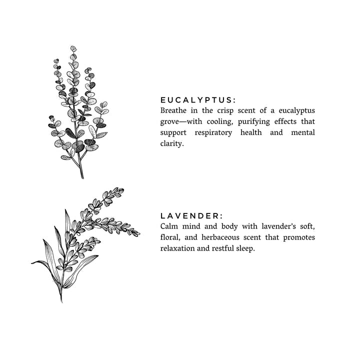 Eucalyptus + Lavender - Signature 3-Wick Candle