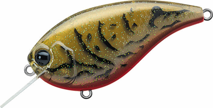 Olive Crawdad