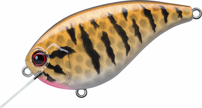 Smallmouth