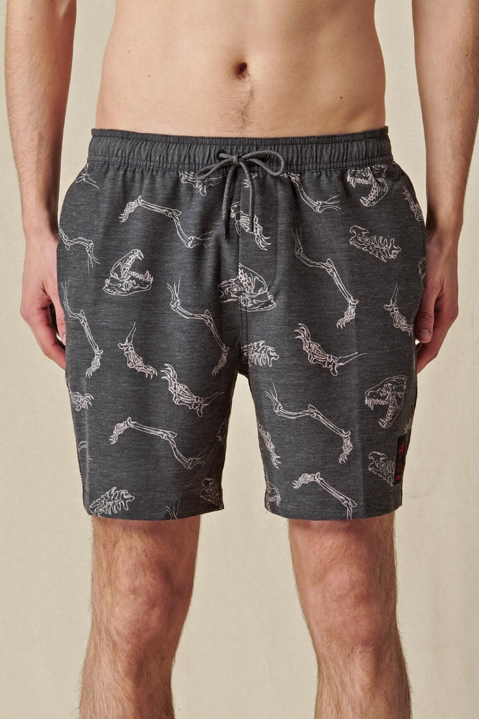 Globe Dion Agius Poolshort - Inlinex