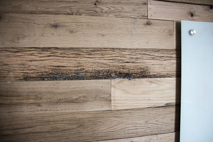 Kentucky Derby Reclaimed Wood Wall Panels Clean Face