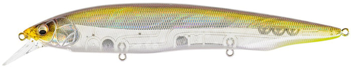 Tennessee Shad