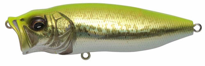 Chart Back Bass