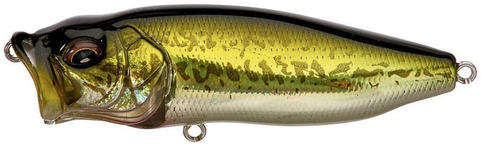 GG. Bass