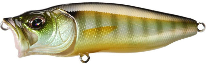 Gill