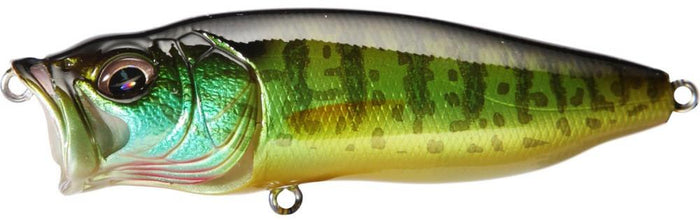 Pumpkinseed
