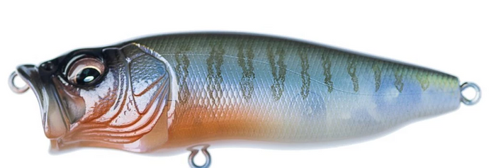 Secret Gill