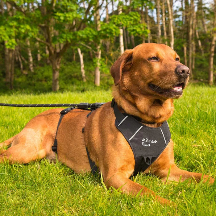 Mountain Paws Adjustable 3 Strap Dog Harness - Black