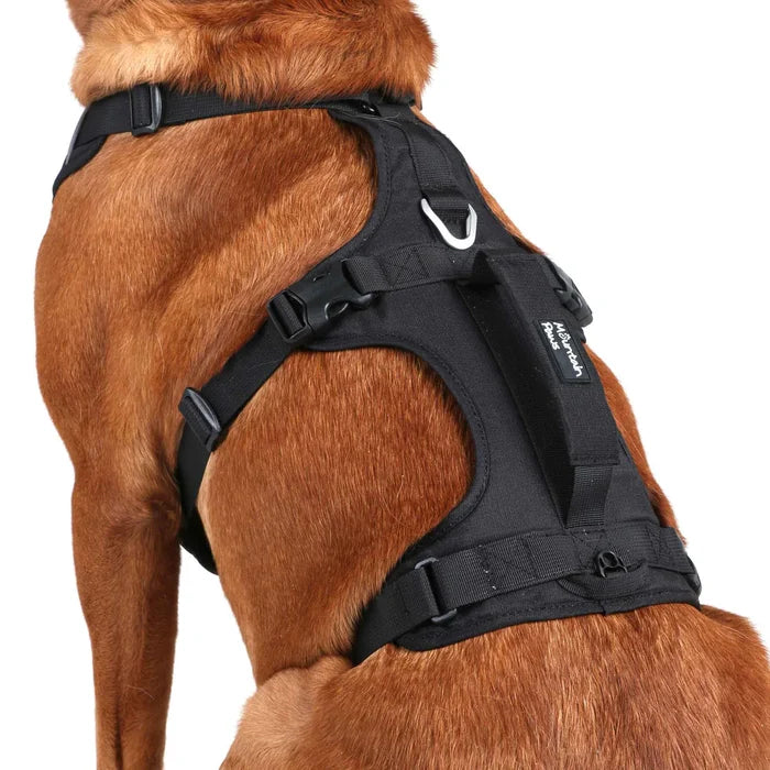 Mountain Paws Adjustable 3 Strap Dog Harness - Black