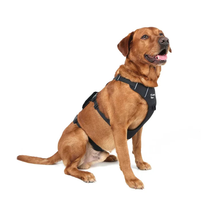 Mountain Paws Adjustable 3 Strap Dog Harness - Black