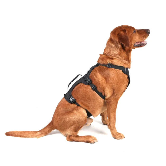 Mountain Paws Adjustable 3 Strap Dog Harness - Black