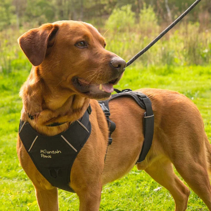 Mountain Paws Adjustable 3 Strap Dog Harness - Black