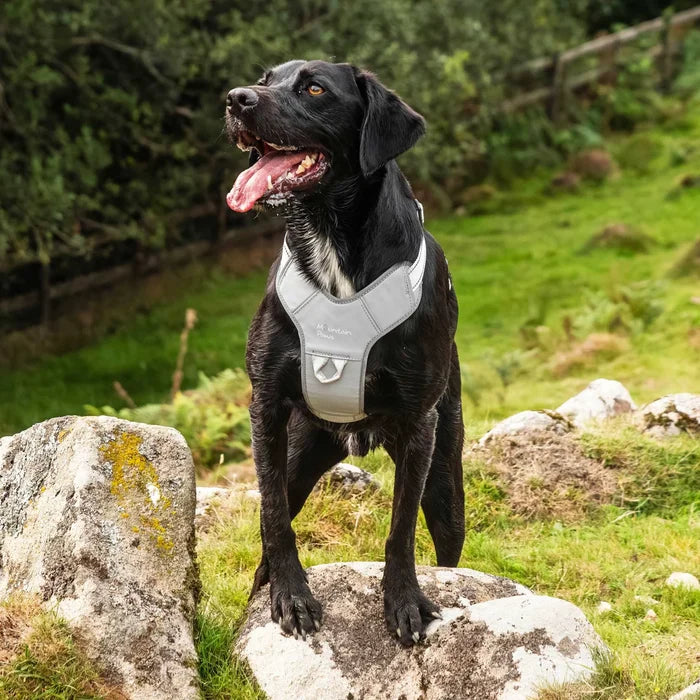 Mountain Paws Adjustable Dog Harness - Reflective