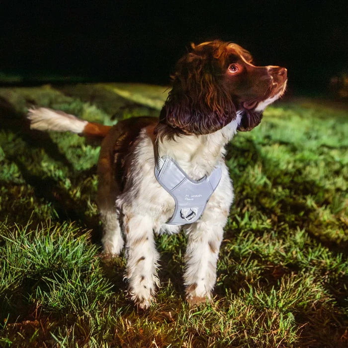 Mountain Paws Adjustable Dog Harness - Reflective