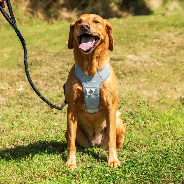 Mountain Paws Adjustable Dog Harness - Reflective