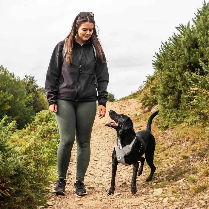 Mountain Paws Adjustable Dog Harness - Reflective