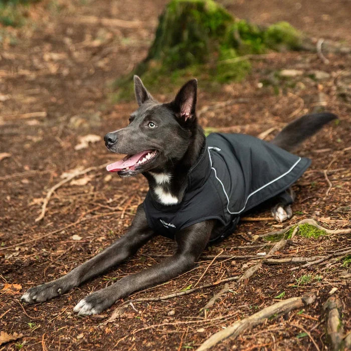 Mountain Paws Fleece Lined Waterproof Dog Coat - Black