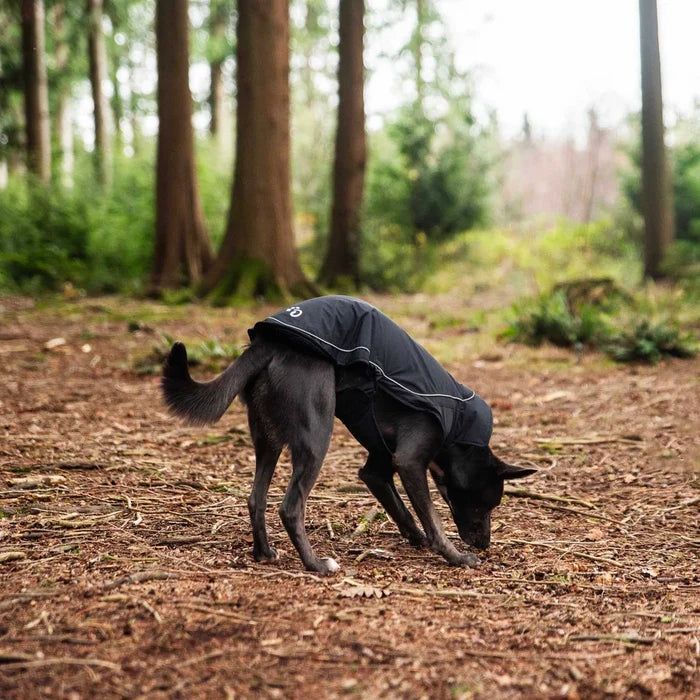 Mountain Paws Fleece Lined Waterproof Dog Coat - Black