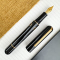 Nahvalur (Narwhal) Nautilus Fountain Pen - Bronze Corydoras