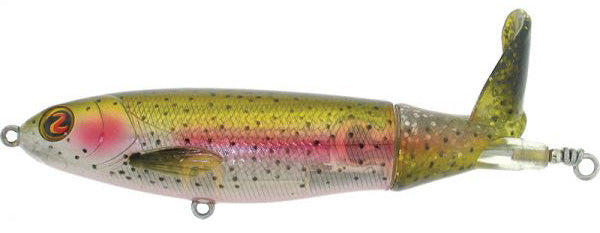 Rainbow Trout