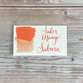 Sailor Manyo Sakura - 50ml Bottled Ink