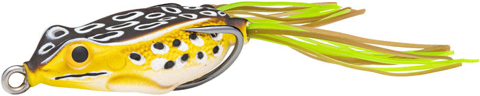 Spring Frog