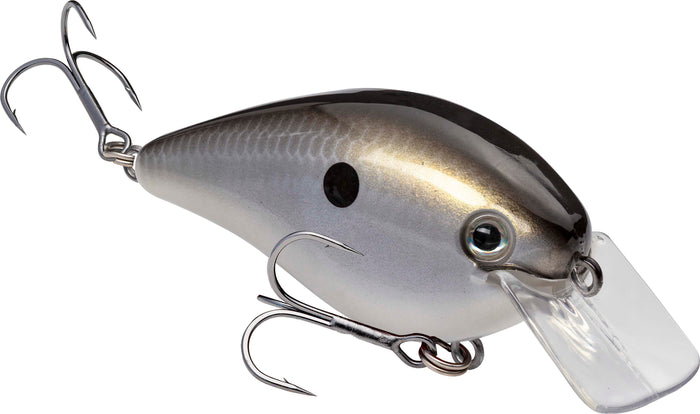 Gizzard Shad