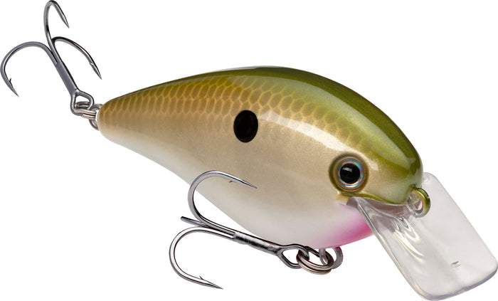 TN Shad