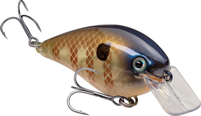 Bluegill