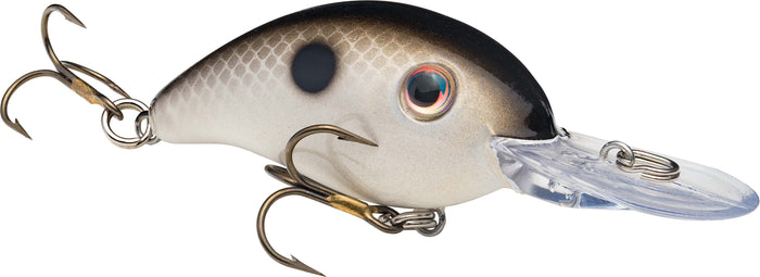 Gizzard Shad