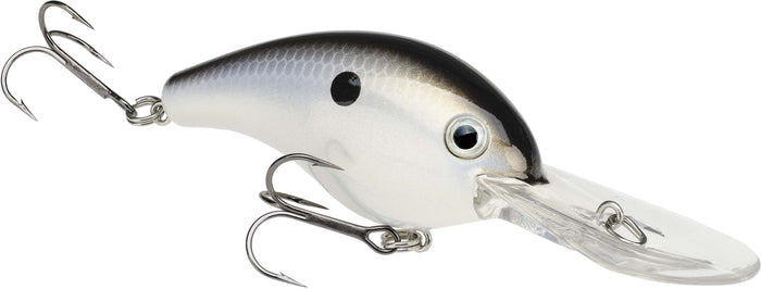 Gizzard Shad