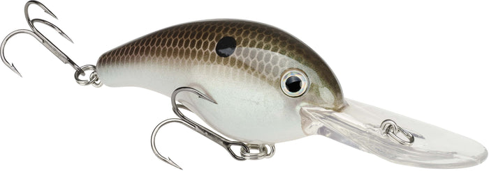 Green Gizzard Shad
