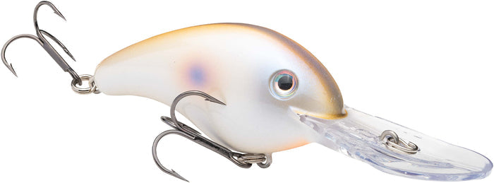 Oyster