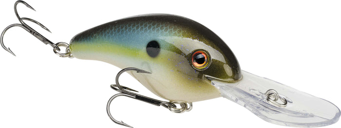 Summer Sexy Shad