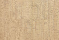 Wicanders Go Charm Cork Floor Tile